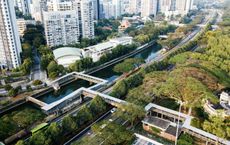 Article Image for Cities Leading the Shift Toward Sustainability