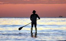 Article Image for Emerging Sports Gaining International Followings