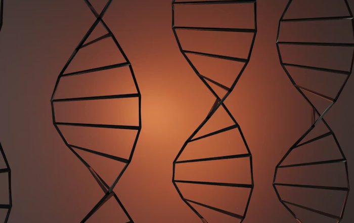 Article Image for How Biotechnology Could Redefine Human Limits