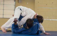 Article Image for How Traditional Martial Arts Adapt for Modern Fitness