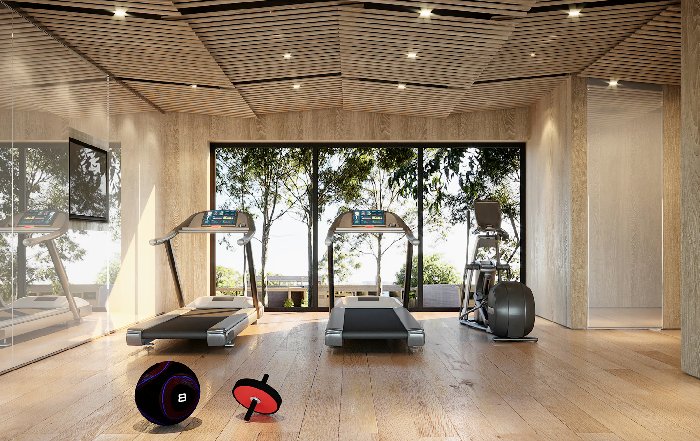 Article Image for Hybrid Gym Models Reshaping Fitness Landscapes