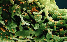 Article Image for Microbiome Research and Its Implications for Athletes