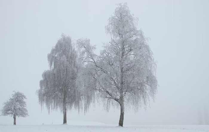 Article Image for Preseason Preparation Across Different Climates