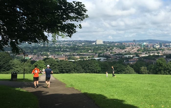 Article Image for Reimagining Public Parks for Active Communities