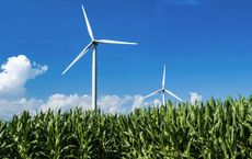 Article Image for Renewable Energy Adoption Gains Momentum