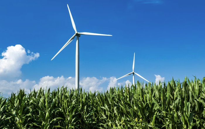 Article Image for Renewable Energy Adoption Gains Momentum