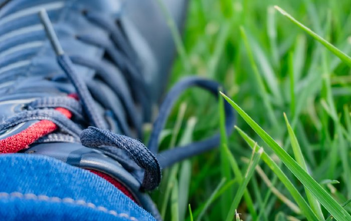 Article Image for Supply Chain Innovations in Sporting Goods