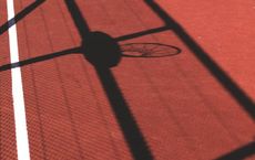 Article Image for Sustainable Practices Transforming Major Sports Leagues