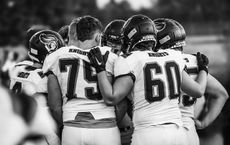 Article Image for The Art of Team Dynamics and Cohesion