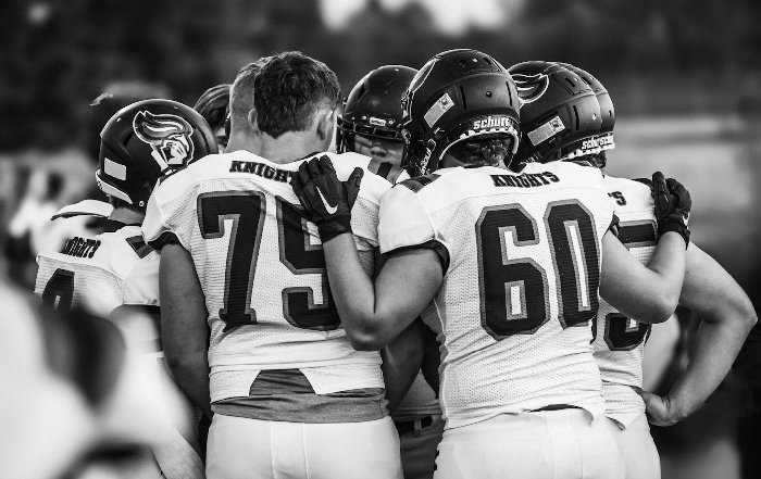 Article Image for The Art of Team Dynamics and Cohesion