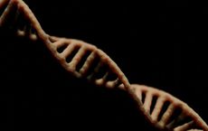 Article Image for The Ethics of Genetic Training Enhancements